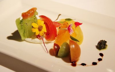 照片：「加小菲」BLOG