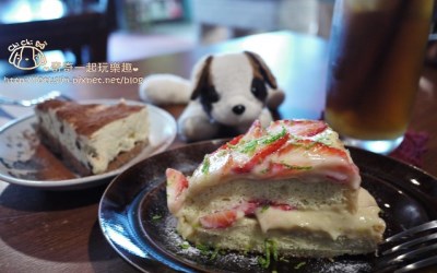 照片：「奇奇一起玩樂趣」BLOG