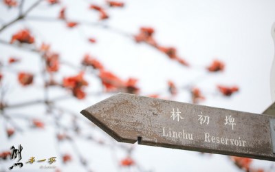 照片：「熊本一家」BLOG