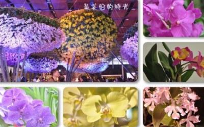 照片：「penny」BLOG