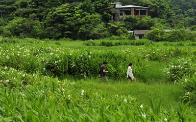 照片：「球球」BLOG