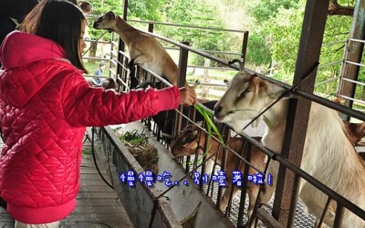 照片：「玟玟」BLOG