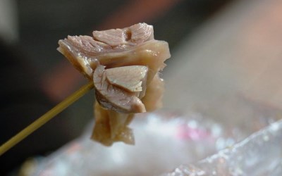 照片：「Sky」BLOG
