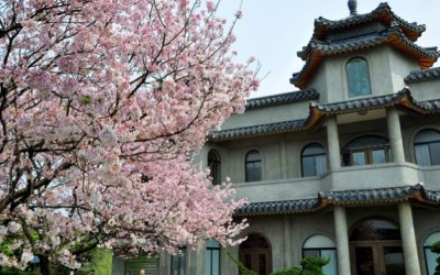 照片：「妃媽」BLOG