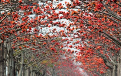 照片：「difeny」BLOG