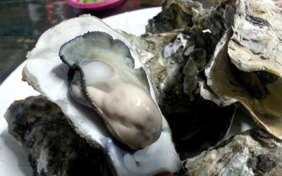 照片：「Grace」BLOG