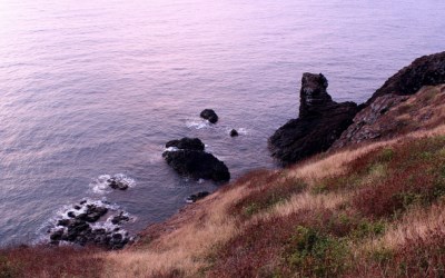 照片：「Grace」BLOG