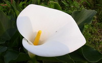 照片：「Julia」BLOG