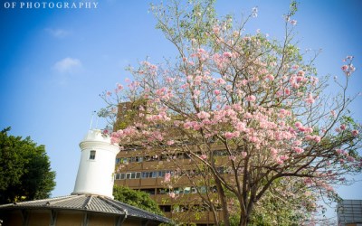 照片：「oldfather」BLOG