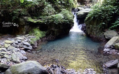 照片：「小沁」BLOG