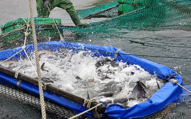 照片：「MIKA」BLOG