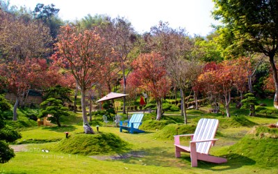 南元花園休閒農場 台南景點推薦 瘋台灣台南民宿網