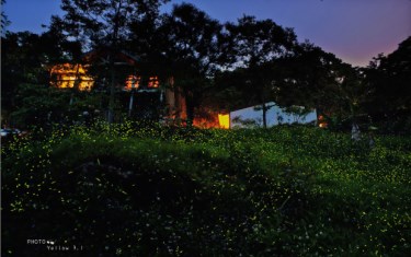 照片：「黃大黃=阿春爸」BLOG