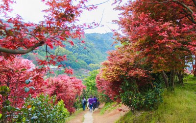 照片：「寰兒」BLOG