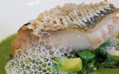 照片：「ａｉｋｏ」BLOG