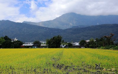 照片：「熊本一家」BLOG