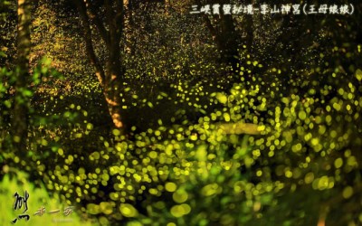 照片：「熊本一家」BLOG