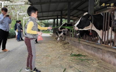照片：「熊本一家」BLOG