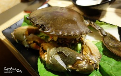 照片：「小沁」BLOG