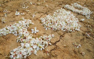 照片：「王拉拉」BLOG