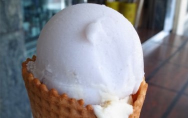 照片：「瘋熊」BLOG