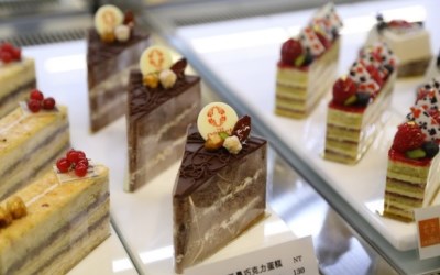 照片：「小獅子-若若」BLOG