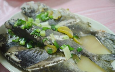 照片：「VIVIYU」BLOG
