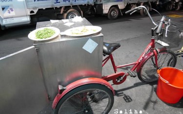 照片：「莎莉哈小姐」BLOG