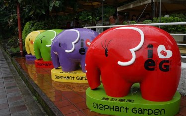 照片：「林古太太」BLOG