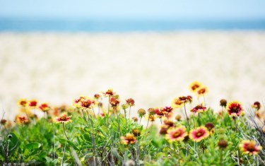 照片：「許傑」BLOG