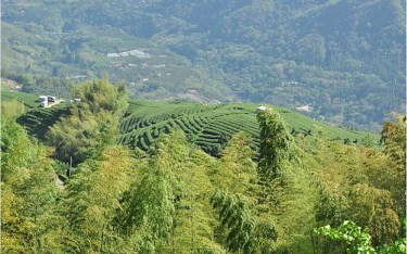照片：「玟玟」BLOG