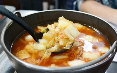 照片：「茉莉」BLOG