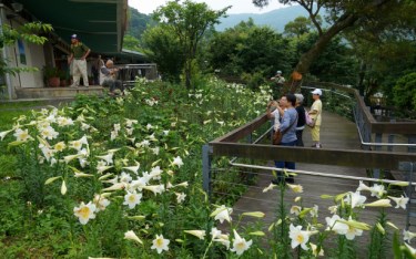 照片：「蘇菲」BLOG