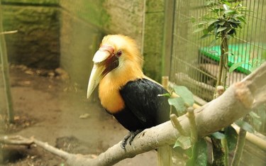 照片：「玟玟」BLOG