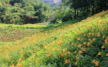 照片：「小兔」BLOG