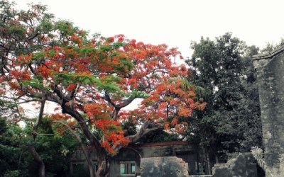 照片：「豬小詠」BLOG