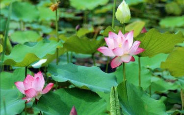 照片：「小潔」BLOG