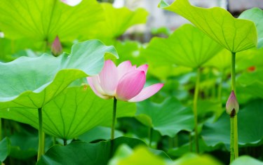 照片：「Leo」BLOG