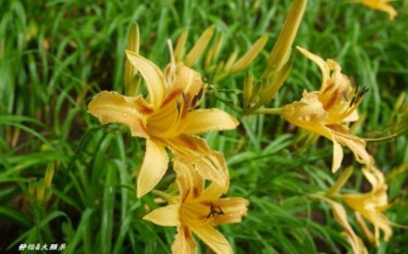 照片：「小靜怡」BLOG