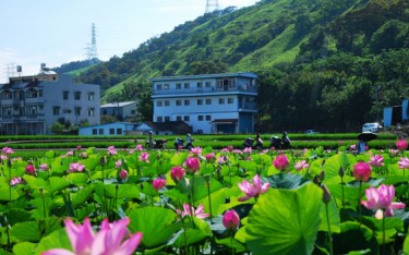 照片：「TAO」BLOG