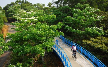 照片：「TAO」BLOG