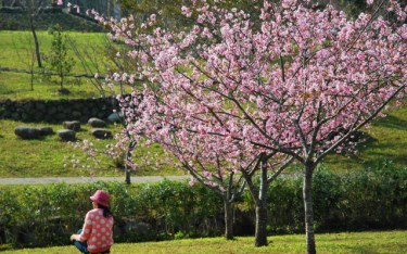 照片：「TAO」BLOG