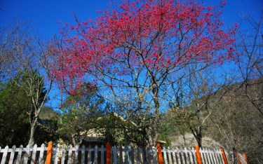 照片：「TAO」BLOG