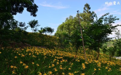 照片：「假日農夫」BLOG