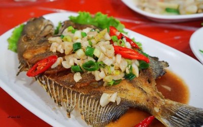 照片：「王拉拉」BLOG