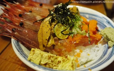 照片：「奇奇一起玩樂趣」BLOG
