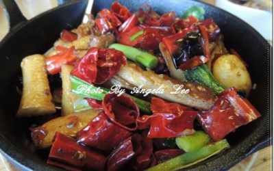 照片：「蚊子」BLOG
