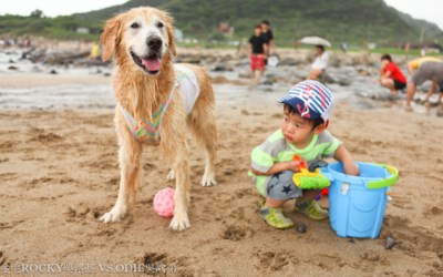 照片：「miniko」BLOG