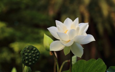 照片：「轉角」BLOG