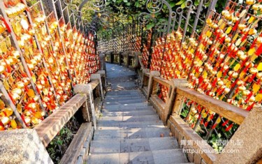 照片：「青青」BLOG